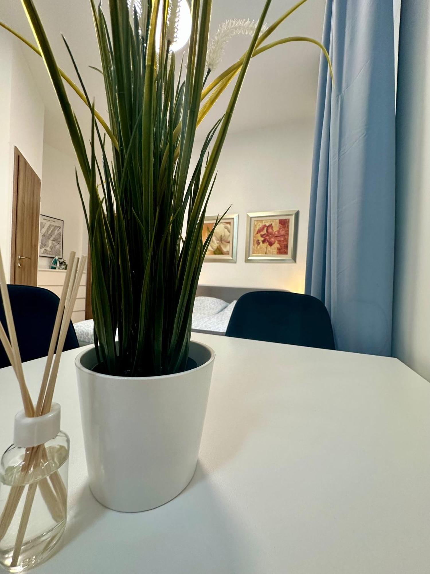 Cozy Centre Apartments Budapest Extérieur photo
